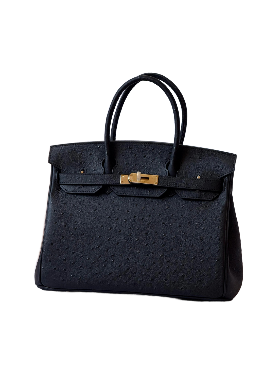 Premium Birkin Style Designer Handbag Elegant Durable Everyday Carryall
