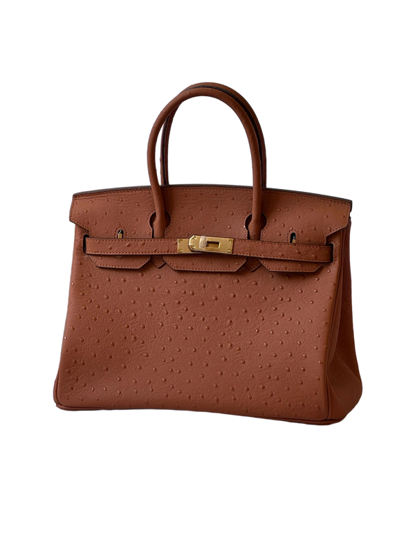 Premium Designer Inspired Birkin Style Handbag Elegant Everyday Carry Accessory