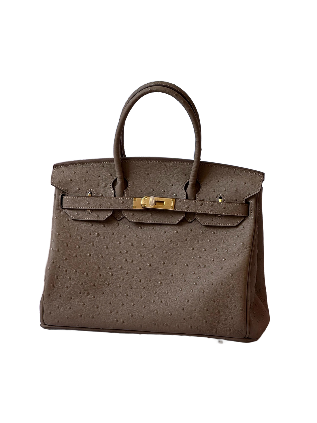 Premium Designer Inspired Birkin Handbag Elegant Durable Everyday Accessory
