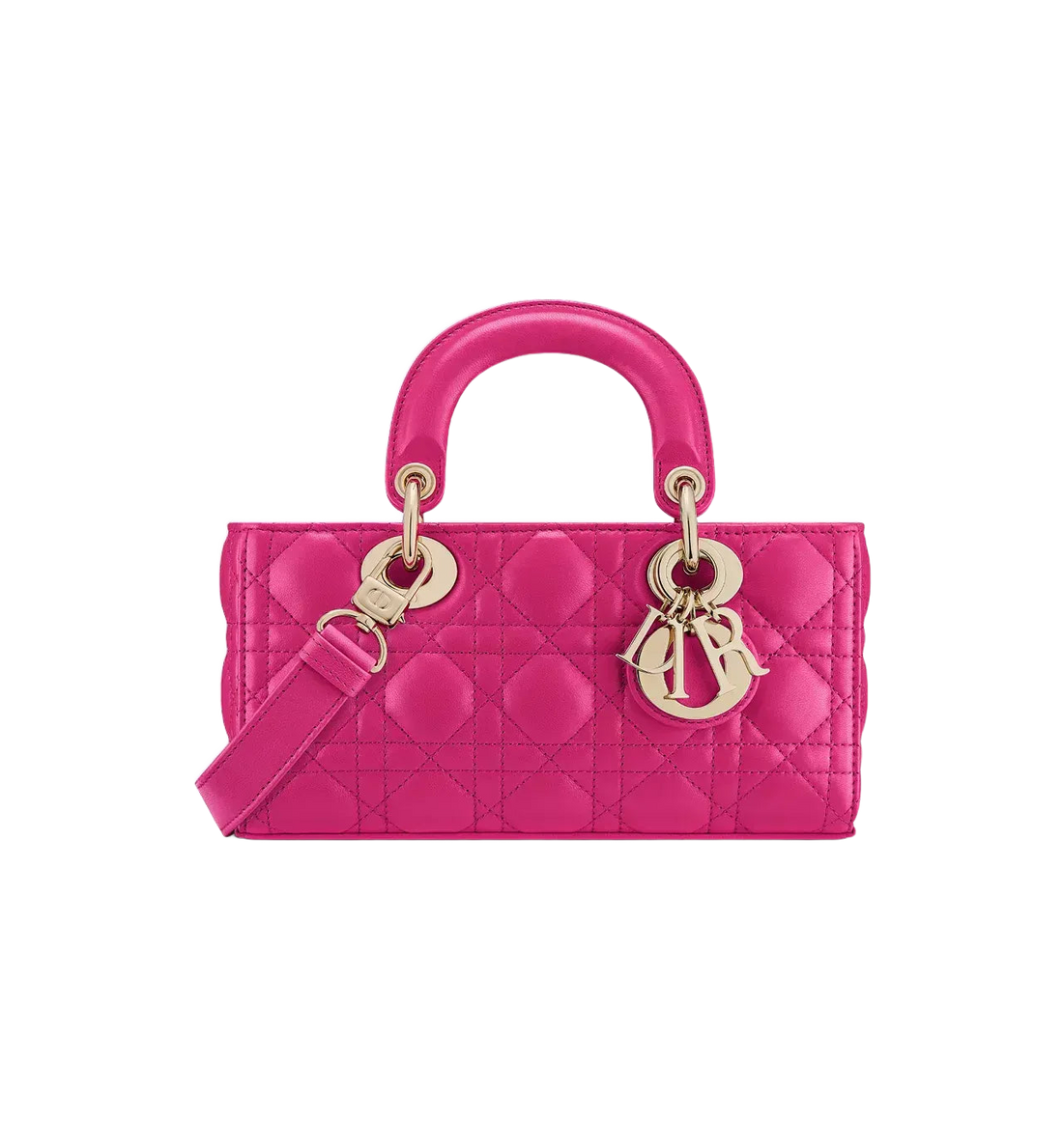 Small Lady D-Joy Lambskin Handbag Chic Designer Style Accessory