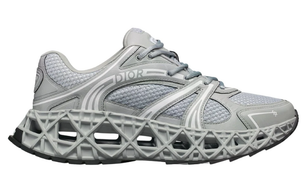 Dior B35 Nxxt "Gray"