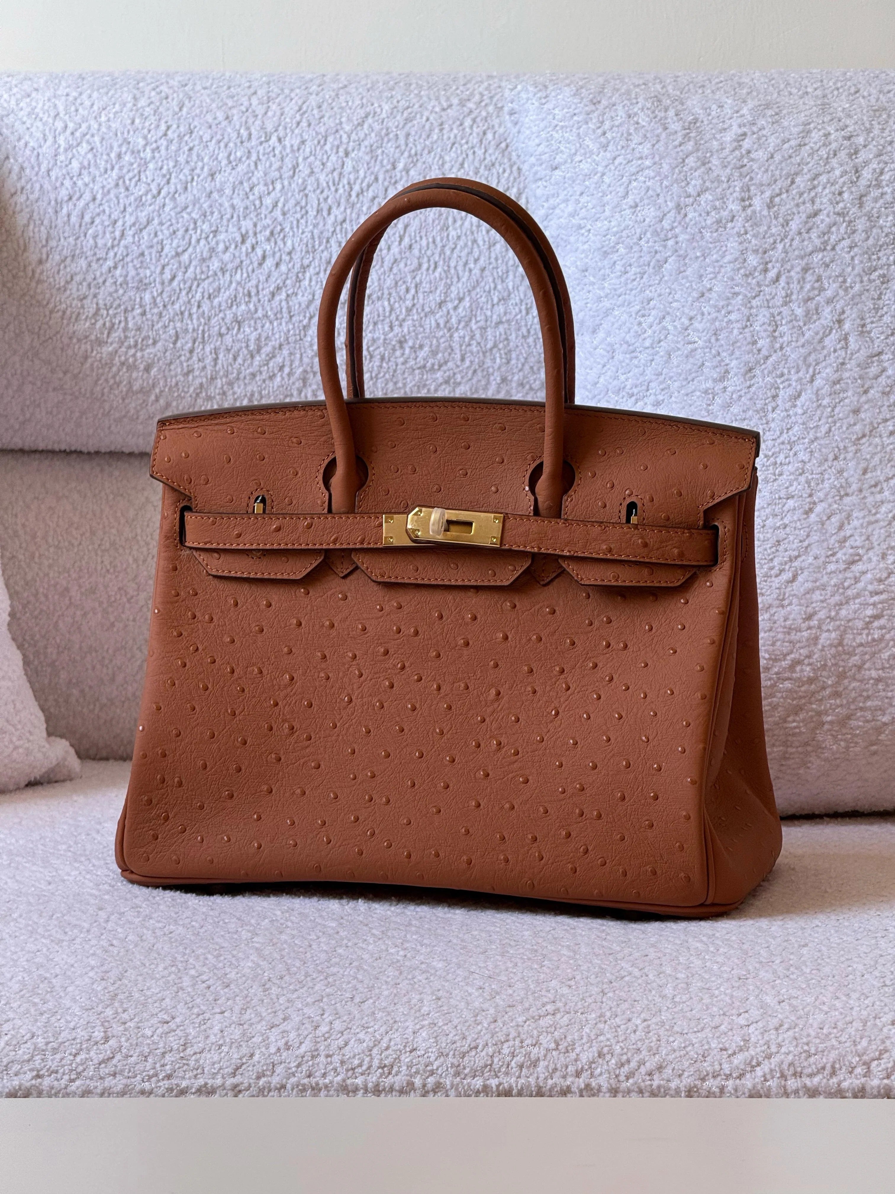 Premium Designer Inspired Birkin Style Handbag Elegant Everyday Carry Accessory