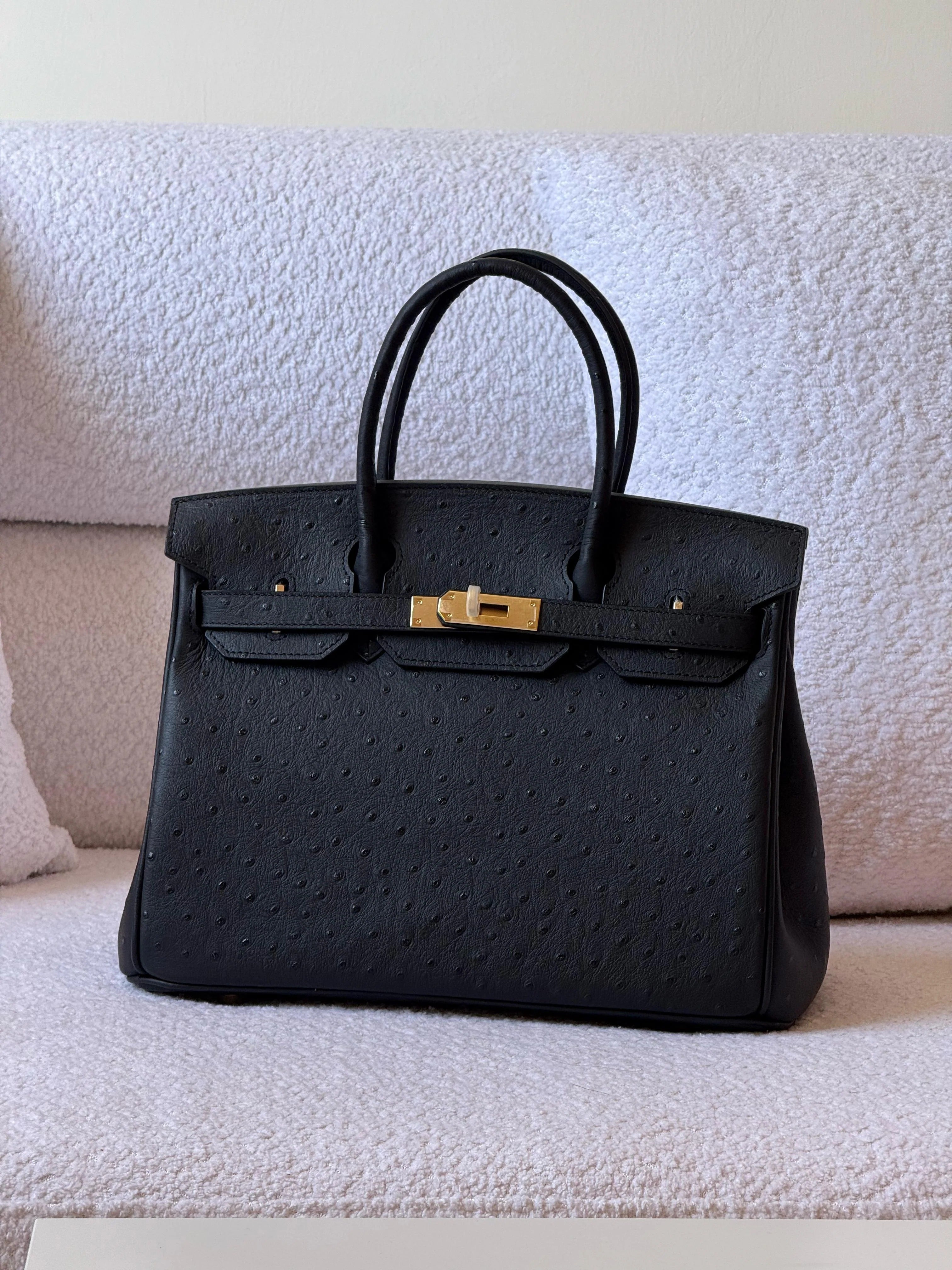 Premium Birkin Style Designer Handbag Elegant Durable Everyday Carryall