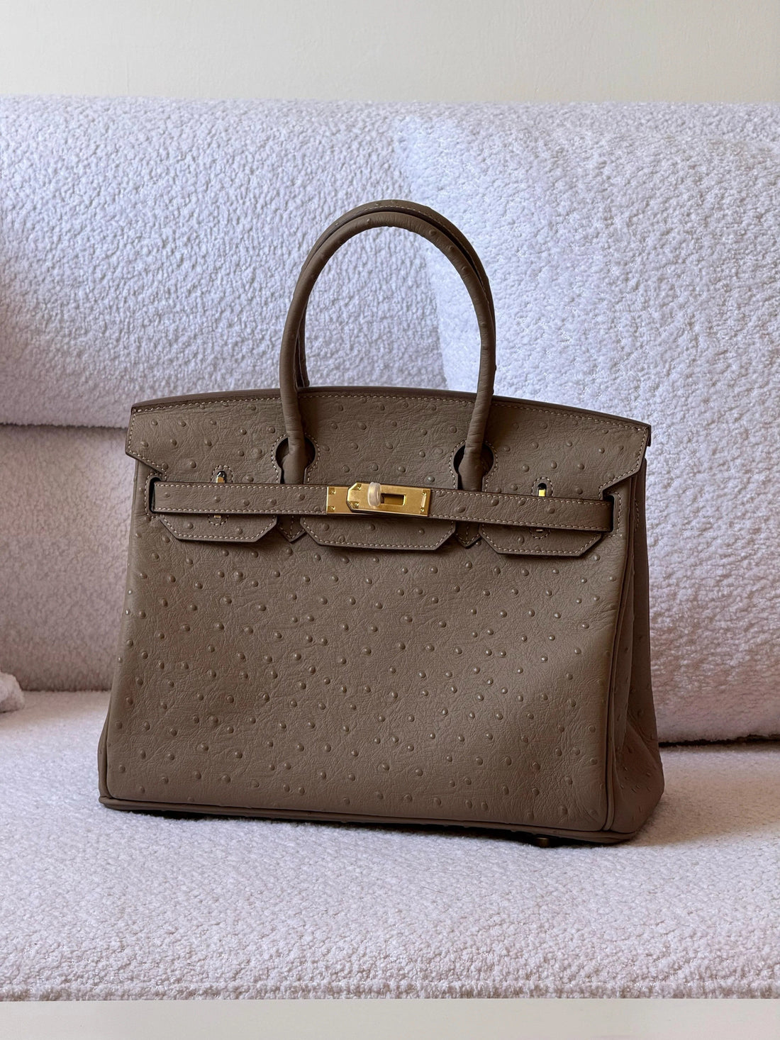Premium Designer Inspired Birkin Handbag Elegant Durable Everyday Accessory
