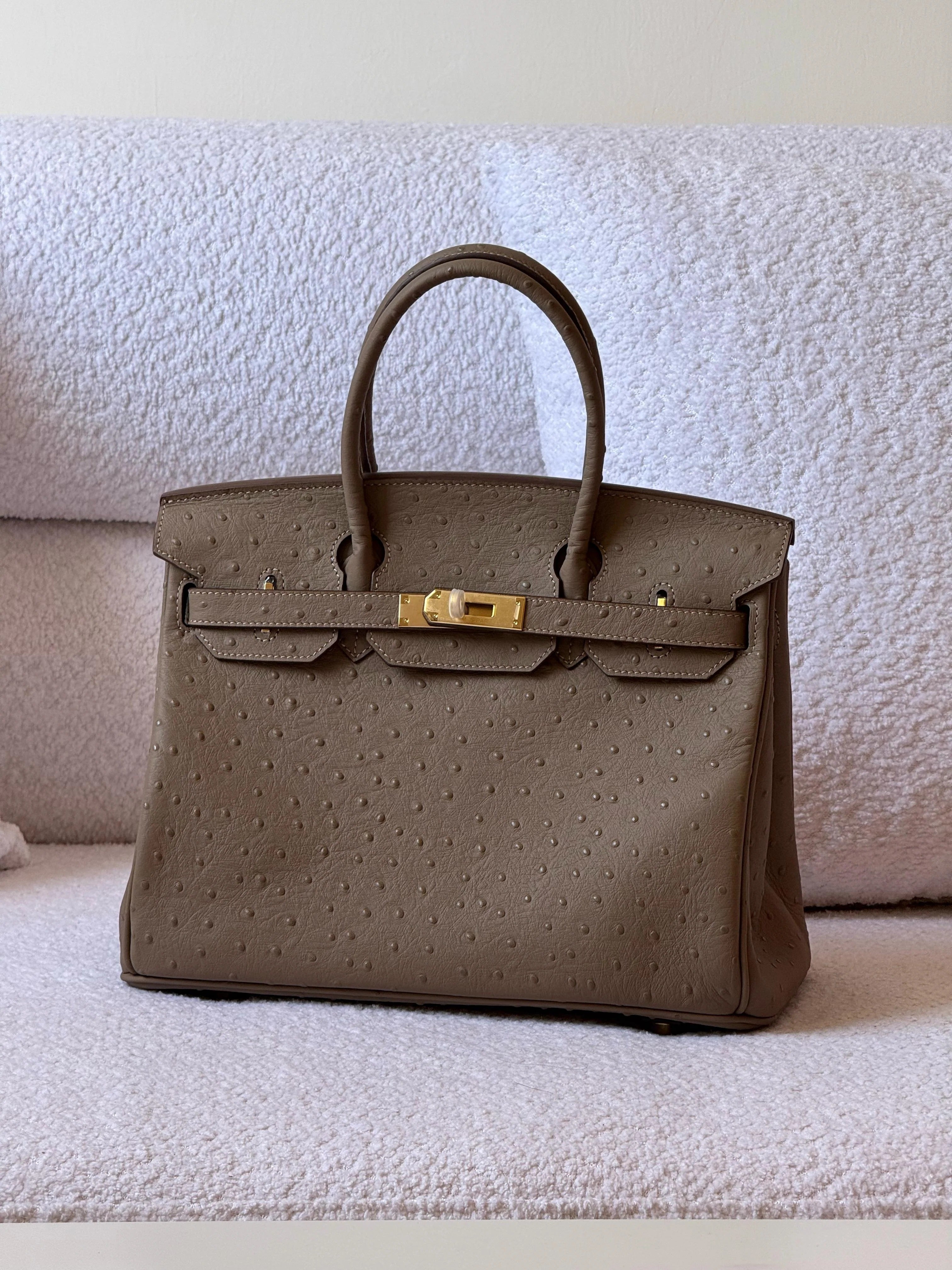 Premium Designer Inspired Birkin Handbag Elegant Durable Everyday Accessory